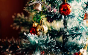 рождественская елка, новогодняя ёлка, рождество, новый год, праздник, украшения, сезон, декабрь, празднование, декоративная, дома, зеленый, традиции, с рождеством, новогодние украшения