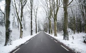 зима, мороз, туман, дорога, холод, деревья, снег, белый, природа, пейзаж, асфальт