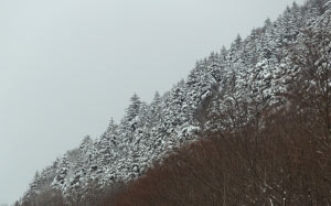 природа, зима, снег, деревья, небо, облака, гора, лес, пейзаж
