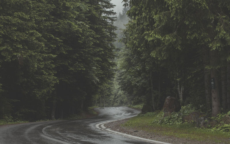 clouds, environment, fog, forest, mist, outdoors, rain, road, trees, wet, wood, nature