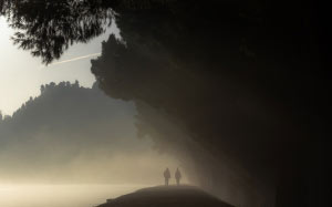 figures, people, outdoor, nature, fog, mist, morning, evening