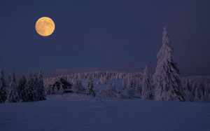 snow, winter, cold, frozen, wintry, trees, ice, full moon, moonlight, night, forest, mountain, cottage, house, wood, landscape, morning, evening