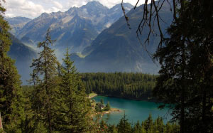 озеро арнисей, швейцария, горы, лес, деревья, ели, хвойные, лето, пейзаж, природа
