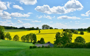 landscape, nature, oilseed rape, field, agriculture, rural, panorama, spring, clouds, sky, arable, green, yellow, meadow, hill, idyllic
