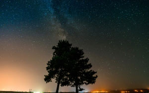 деревья, небо, звезды, природа, ночь, атмосфера, горизонт, пейзаж, космос, полночь, тьма, астрономия, вечер, созвездие