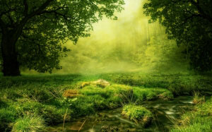 сказочный, композиция, поляна, лес, луг, деревья, зеленый, природа, мистическое, настроение, ручей, поток