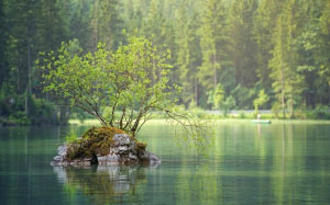 природа, озеро, река, вода, пейзаж, деревья, лето, зеленый, хвойный, лес, идиллический, спокойствие