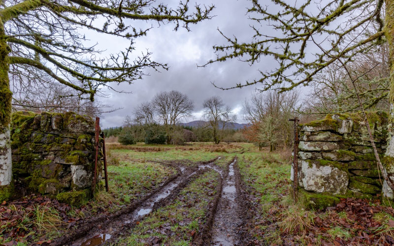 ворота, ферма, следы, ферма, шотландия, зима, декабрь, облака