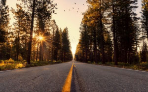 asphalt, california, country, countryside, dawn, forest, highway, landscape, nature, outdoors, perspective, road, rural, scenic, season, sun, sunlight, sunrise, sunset, travel, trees, wilderness, woods
