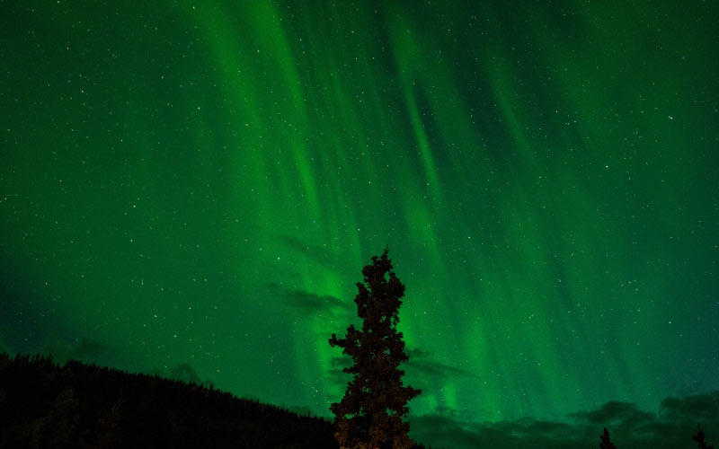 silhouette, sky, night, green, aurora, aurora borealis, northern, alaska, northern lights, borealis, phenomenon