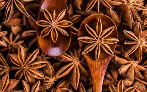 plant, leaf, flower, aroma, pattern, food, spice, herb, kitchen, christmas, seasoning, seeds, spices, carving, sprockets
