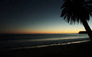 tree, water, silhouette, palm, sunset, sea, ocean, beach, landscape