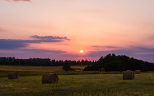 august, stack, summer, evening, straw, hay, field, landscape, harvest, sunset, sky, nature, rural, agriculture, grass, trees, farm, sun, outdoors
