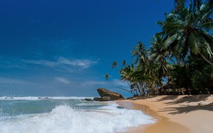 beach, waves, nature, ocean, palm trees, tropical, island, paradise, coconut, idyllic, relaxation, sand, sea, seashore, summer, sun, travel, tropical, vacation, blue