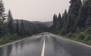 nature, forest, mountains, road, highway, wet, asphalt, trees, rural, rainy day, rain