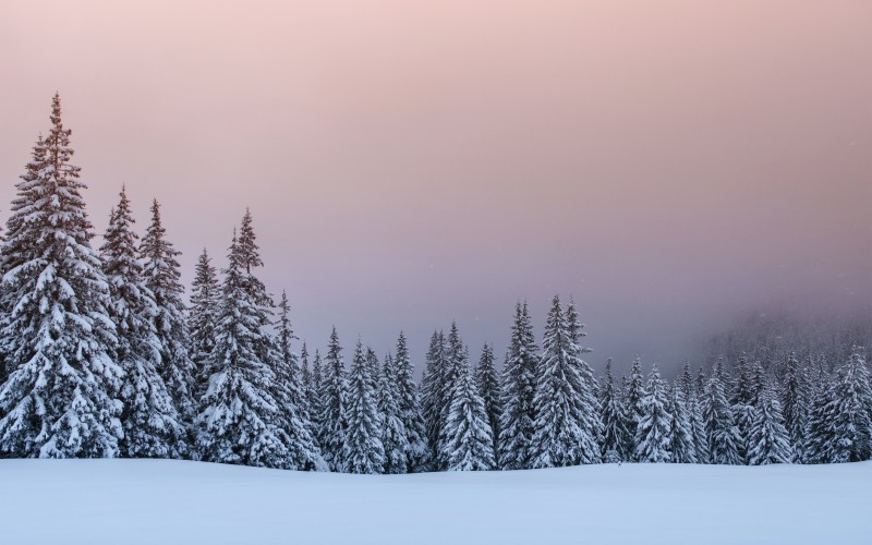 landscape, nature, winter, snow, mountains, sunset, forest, wood, fog, mist