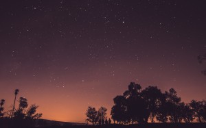 trees, silhouettes, sky, night, stars, dusk, darkness, astronomy, midnight, astronomical, space
