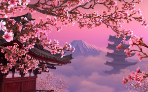 sakura, blooming, japan, flowers, spring, lanscape, nature