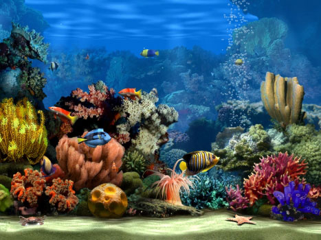 Living Marine Aquarium 2 Screenshot