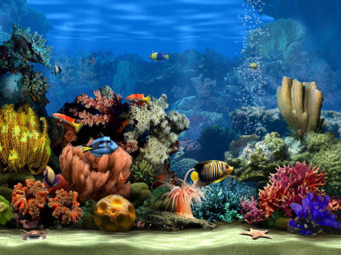 Living Marine Aquarium 2 Screensaver - Desktop Lux