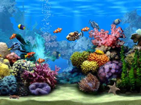 Living Marine Aquarium 2 Скриншот