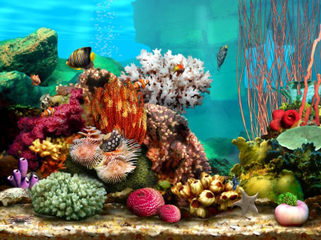 Living Marine Aquarium 2 Screenshot