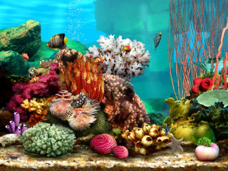 Living Marine Aquarium 2 Скриншот