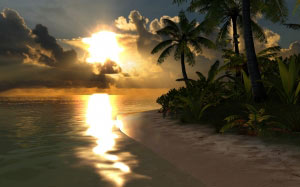 карибы, пляж, лагуна, песок, вода, пальмы, солнце, тропики, природа, пейзаж