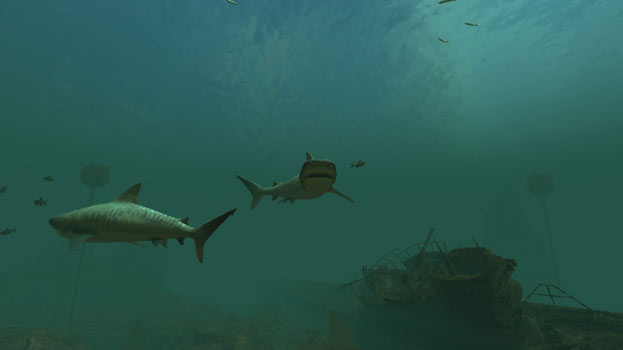 Tiger Sharks Screenshot