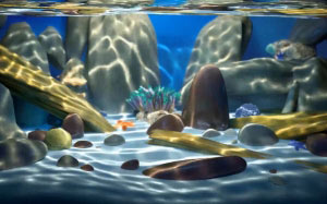 аквариум, вода, ракушка, морская звезда, подводный, растения
