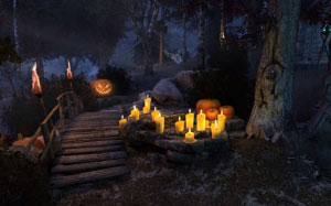 holiday, halloween, mysterious, scary, witch, pumpkin, forest, spider
