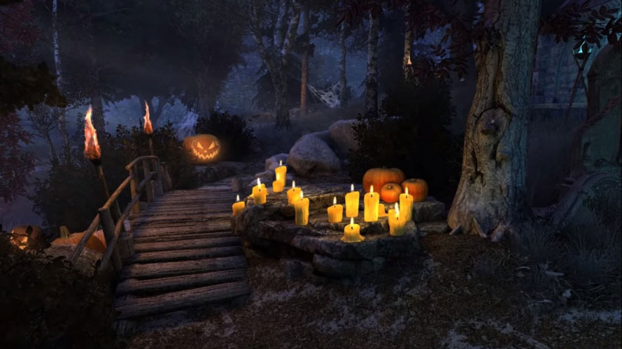 holiday, halloween, mysterious, scary, witch, pumpkin, forest, spider