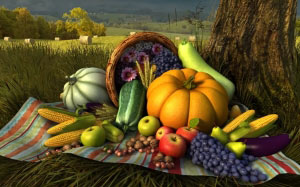 holiday, thanksgiving day, pumpkin, nature, autumn, fall