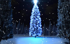 елка, сосна, рождество, новый год, лес, зима, праздники, ночь, снег