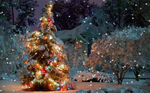 елка, рождество, новый год, праздники, дом, сад, снег, ночь