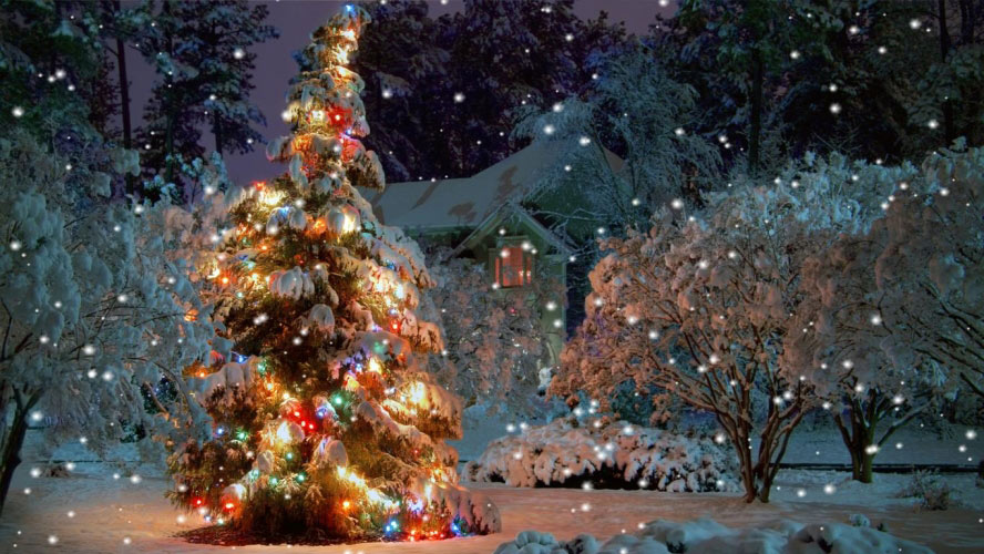 елка, рождество, новый год, праздники, дом, сад, снег, ночь