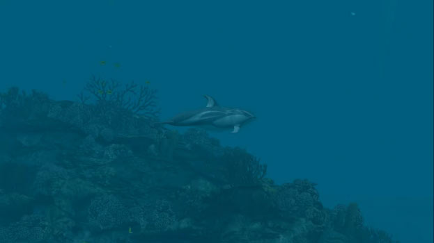 Dolphins - Pirate Reef Скриншот