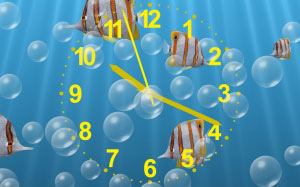 underwater, water, fish, clock, mechanical clock, analog clock