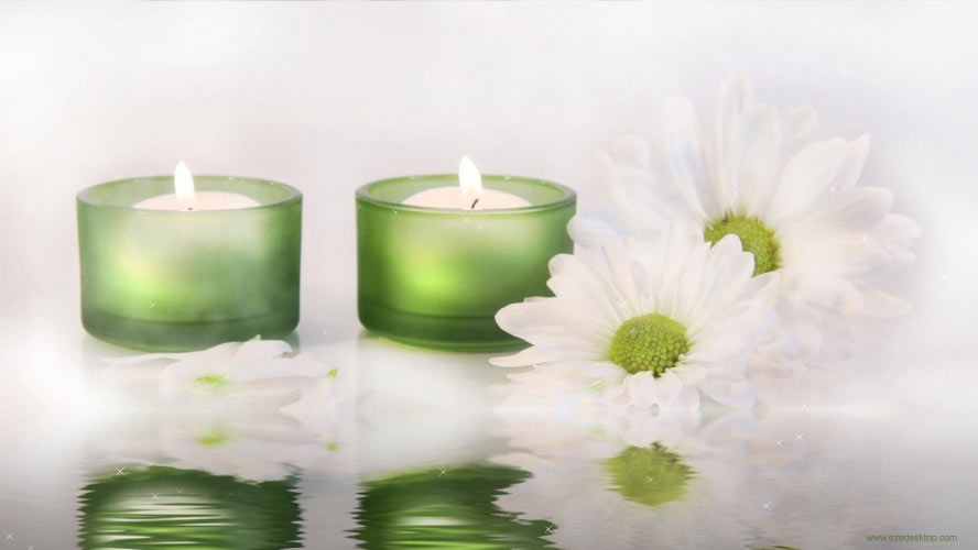 spring, daisies, burn, tealights, candles, water, flame, ripple, reflection