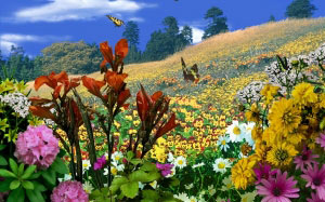 nature, landscape, butterflies, butterfly, flowers, spring