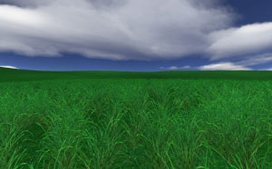 трава, небо, природа, пейзаж, трава, поле, луг