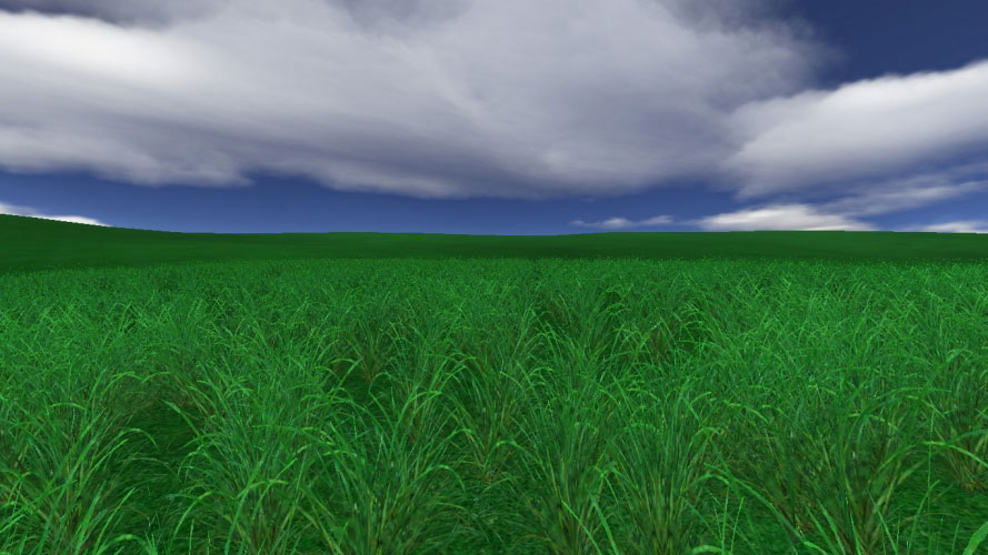трава, небо, природа, пейзаж, трава, поле, луг