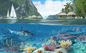 тропический, рай, карибские острова, карибы, остров, морской, коралловый риф, лагуна, природа, море, вода