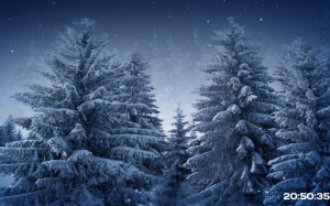 снежинки, снег, зима, лес, природа