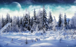 сезон, зима, природа, пейзаж, снег, снегопад