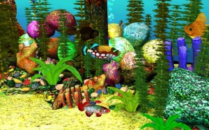 fish, animals, nature, underwater, water, corals, plants, 3d, aquarium