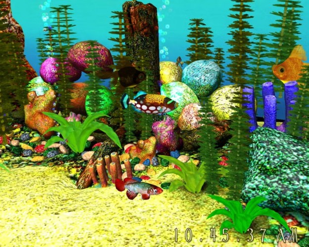 fish, animals, nature, underwater, water, corals, plants, 3d, aquarium