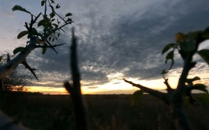 видео, закат, природа, пейзаж, небо, облака, вечер, ночь