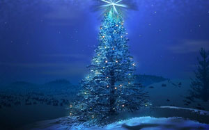 рождество, новый год, елка, пейзаж, зима, снег, ночь, звезда, лес