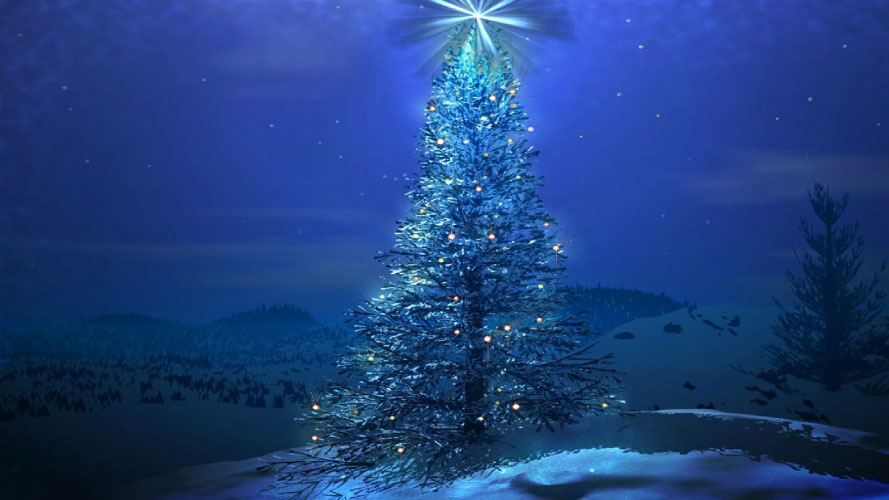 christmas, xmas, new year, christmas tree, landscape, winter, snow, night, star, forest